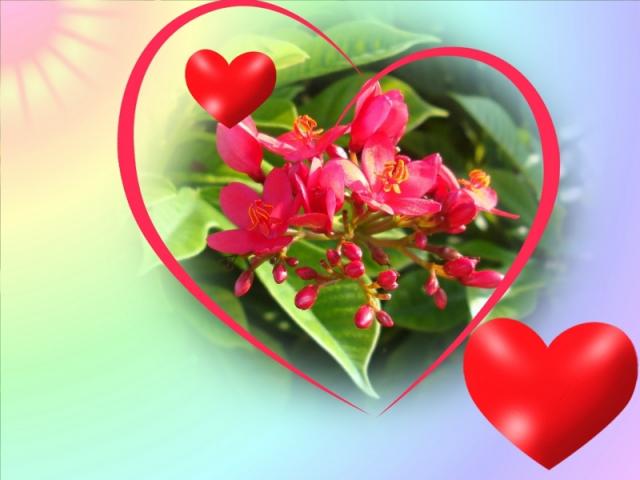 Что же на сердце у моего любимого мужчины