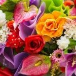 Гадание да или нет. 